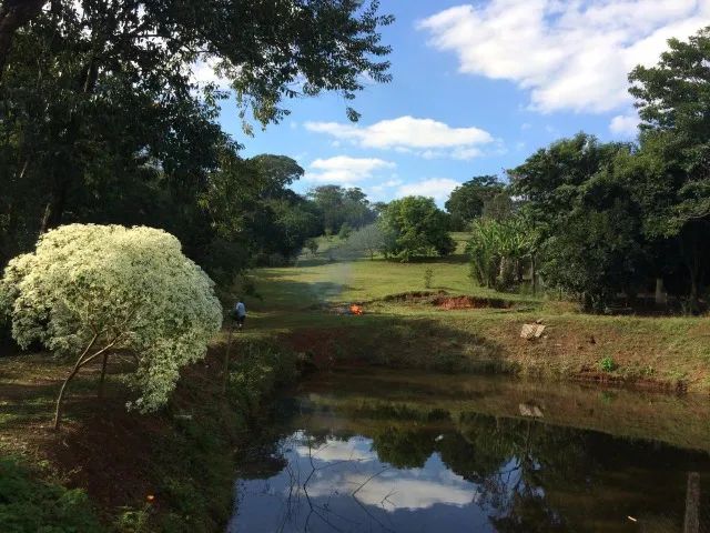 Sítio  - Mata Negra - Rio Claro - Foto 2