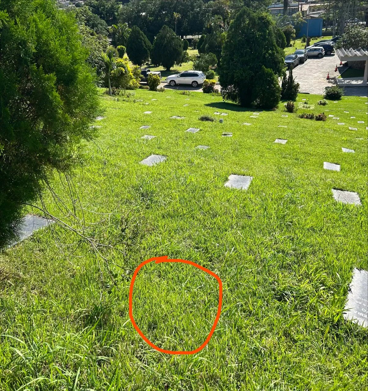 Jazigo em ótima localização no parque da colina 