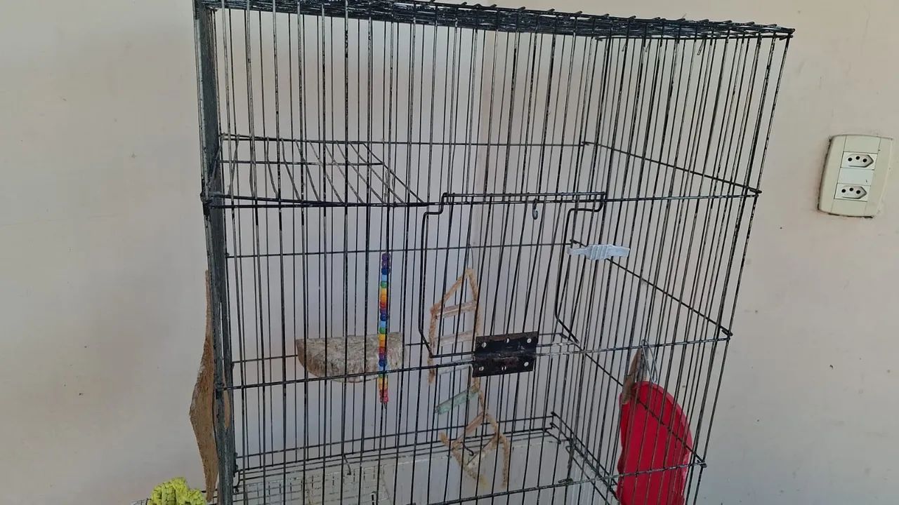 GAIOLA DE PASSARINHO  - Foto 2