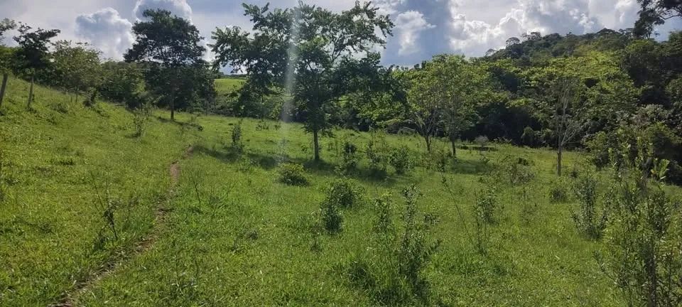 Chacaras de 10,000m² proximo a Planalmira  - Foto 3