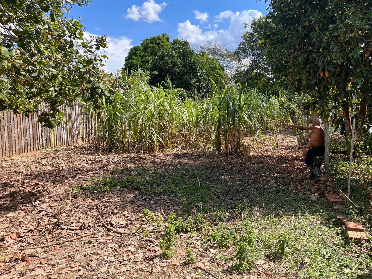 Terreno no ramal da castanheira  - Foto 4