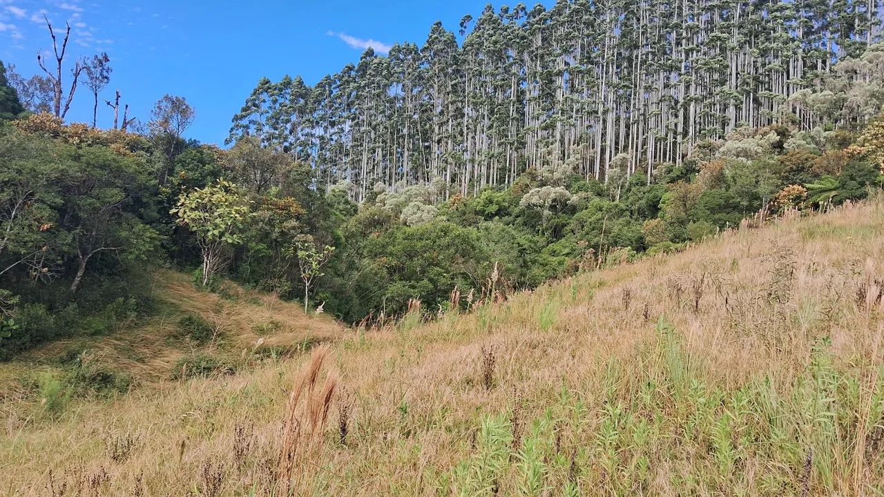 Área de 13 hectares apenas R$565.000,00 em Anitápolis-SC  - Foto 5