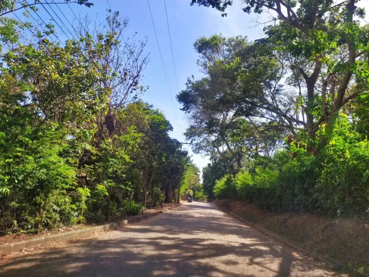 Vendo Terreno em Imbassaí - Foto 5