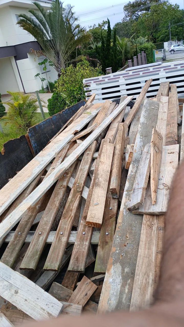 jardinagem e podas de arvores - Foto 5