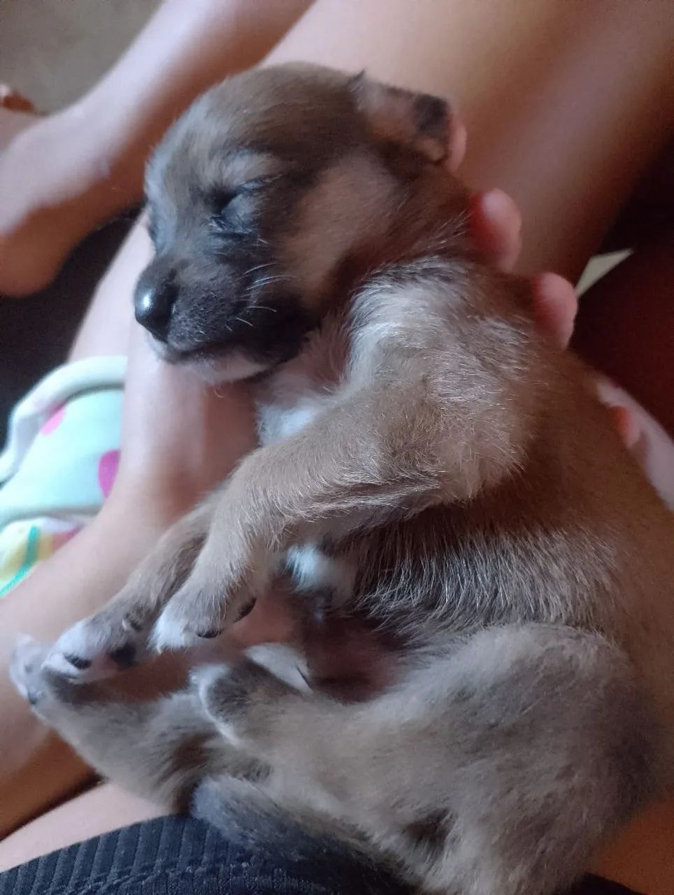 Doação  - Foto 2