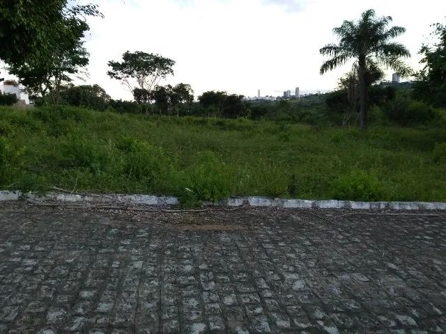 Terreno 12x30m (300m2) plano em rua calçada  - Foto 5