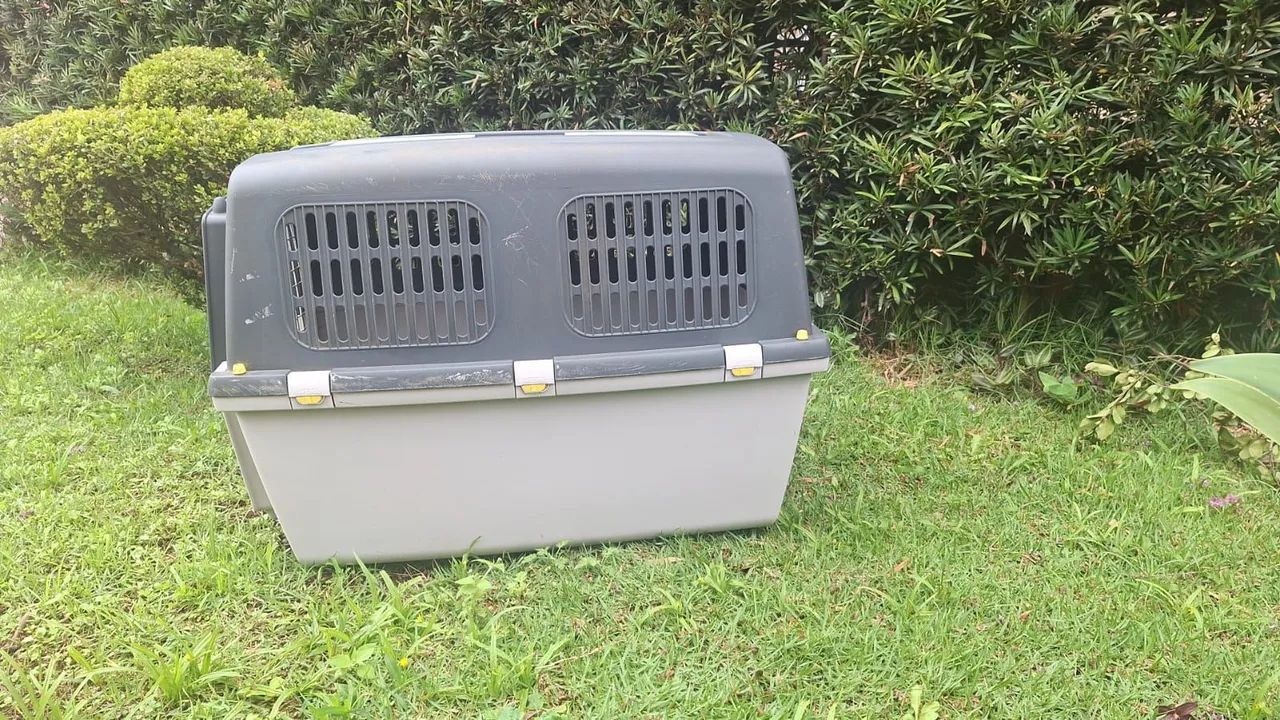 Caixa de transporte Chalesco - Foto 2