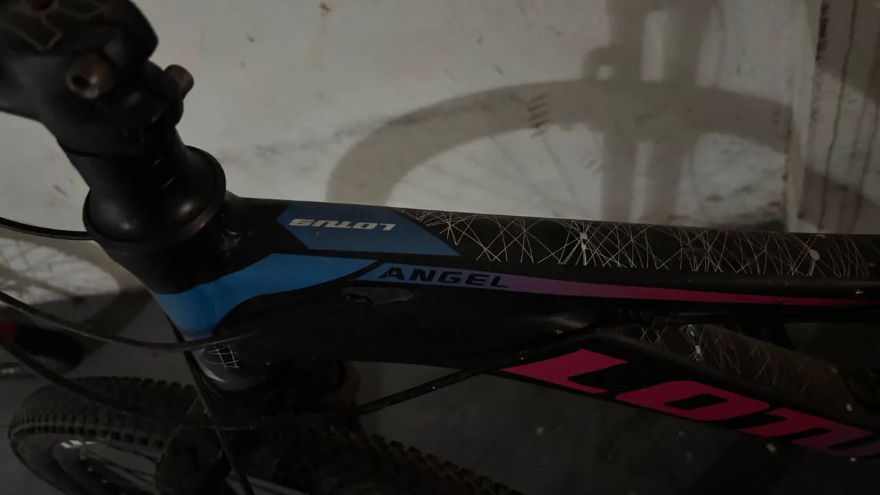 BICICLETA LOTUS ANGEL ARO 29 | SISTEMA 3x7 | 100% FUNCIONANDO - Foto 4