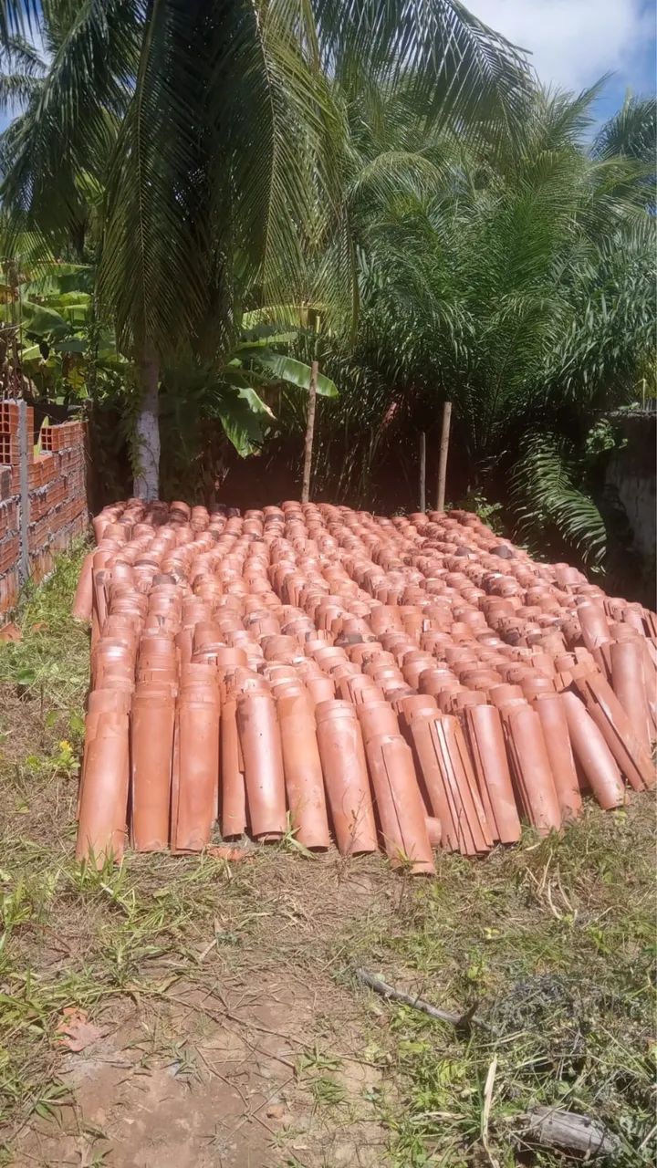 Telhas cerâmica Doação 