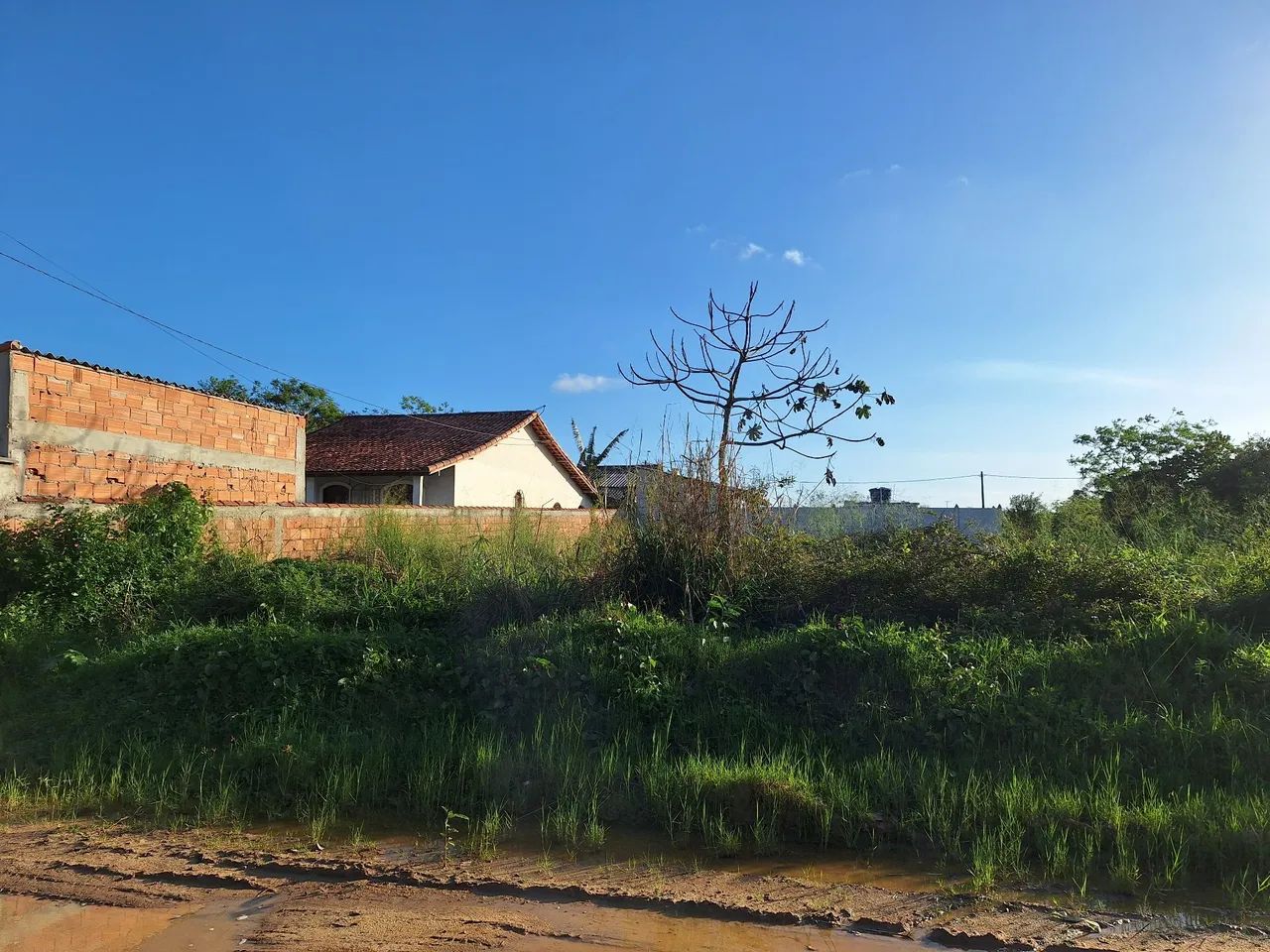 Terreno plano e com RGI - Região dos Lagos - Rj. - Foto 3