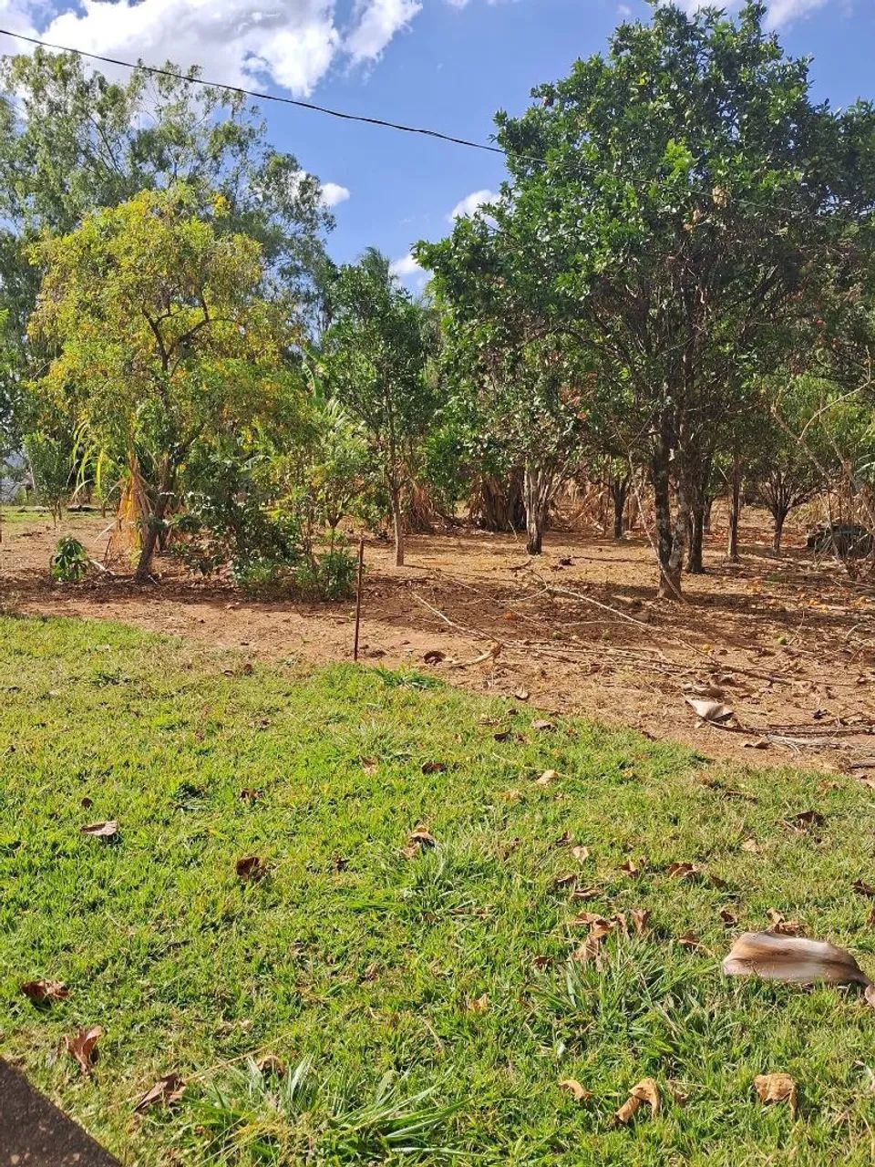 Fazenda - Foto 5