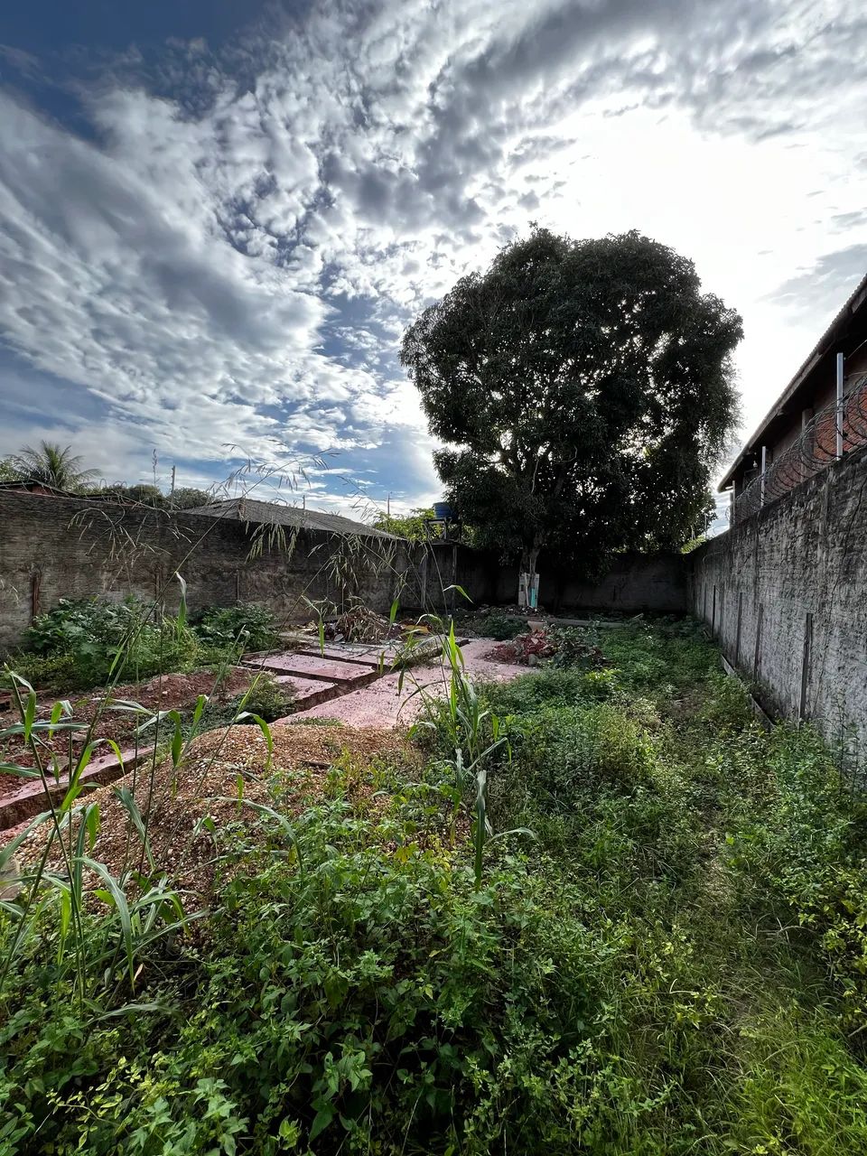 Vendo Terreno Não Titulado Barato - Foto 3