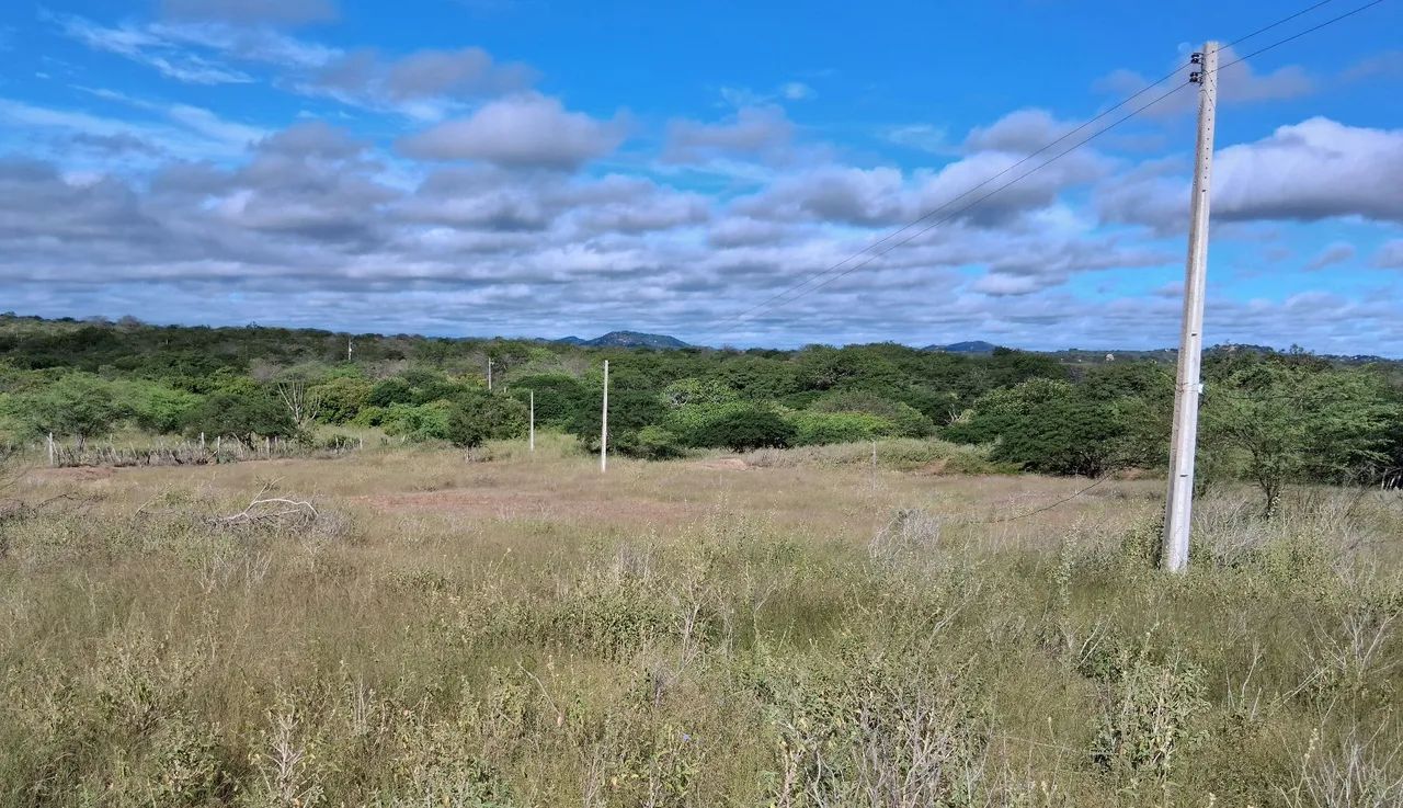 Vendo sítio 20.000 m2  - Foto 2