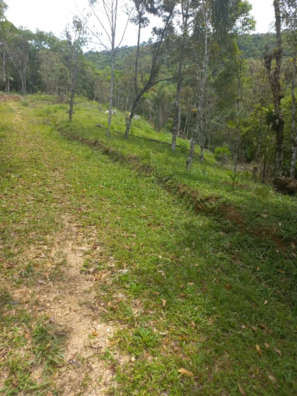  OPORTUNIDA VENDO OU TROCO - TERRENO PARA CHALÈ - CHACARA  - Foto 4