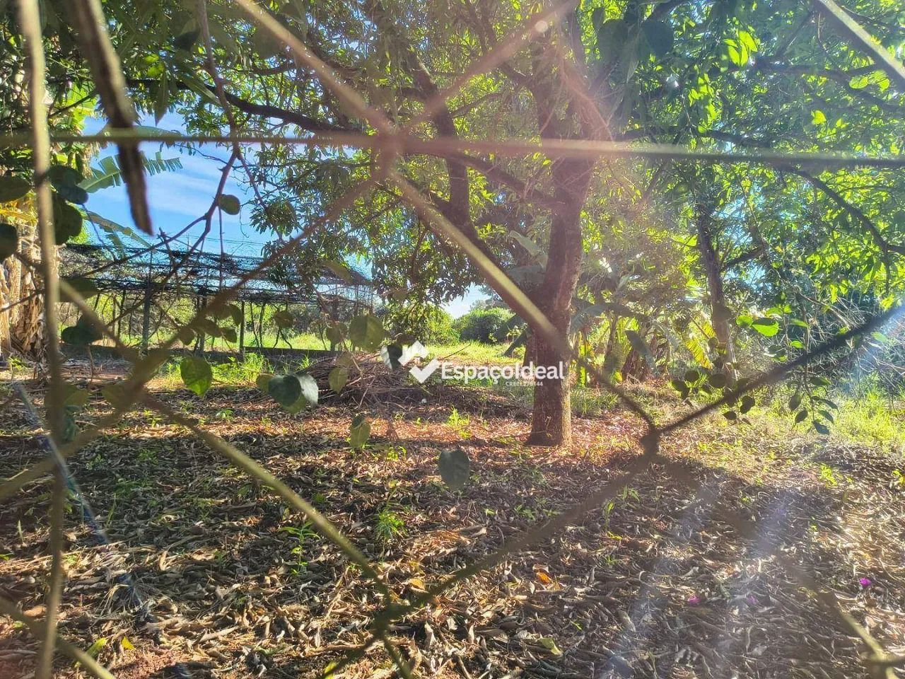 Chácara no Corvo Branco: Tranquilidade e Valorização - Foto 3