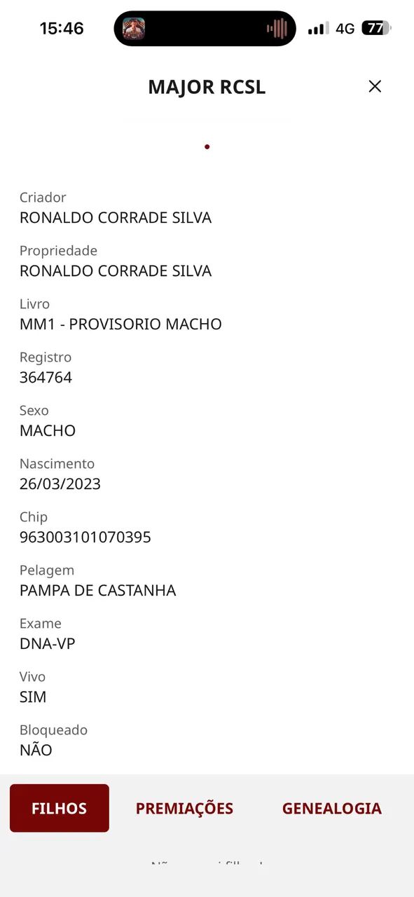 Potro/ Marcha Batida  - Foto 5