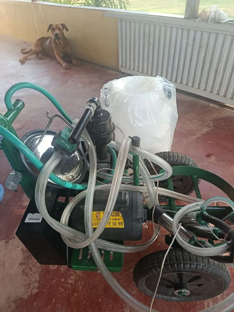 Ordenha movel - Foto 3