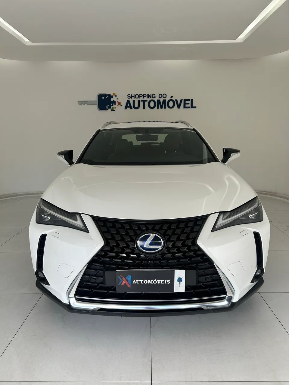 Lexus Ux-250H UX-250h Luxury 2.0 16V Aut. (Híbrido) 2019
