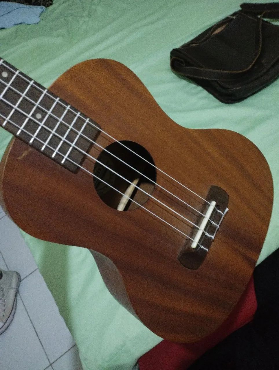 Ukulele Harmonics  - Foto 4