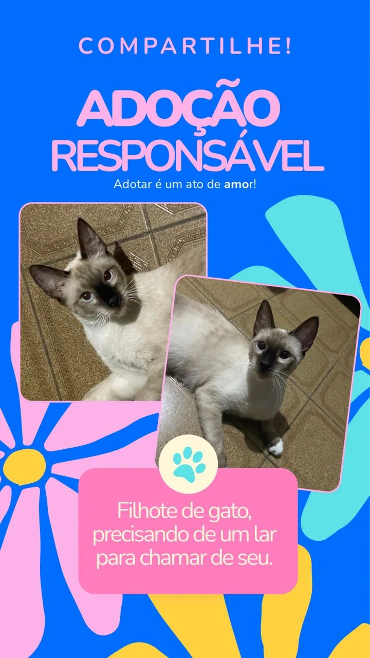 ADOÇÃO RESPONSÁVEL 