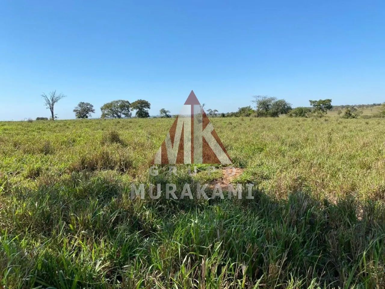 FAZENDA - BRASILÂNDIA - MS - Foto 3