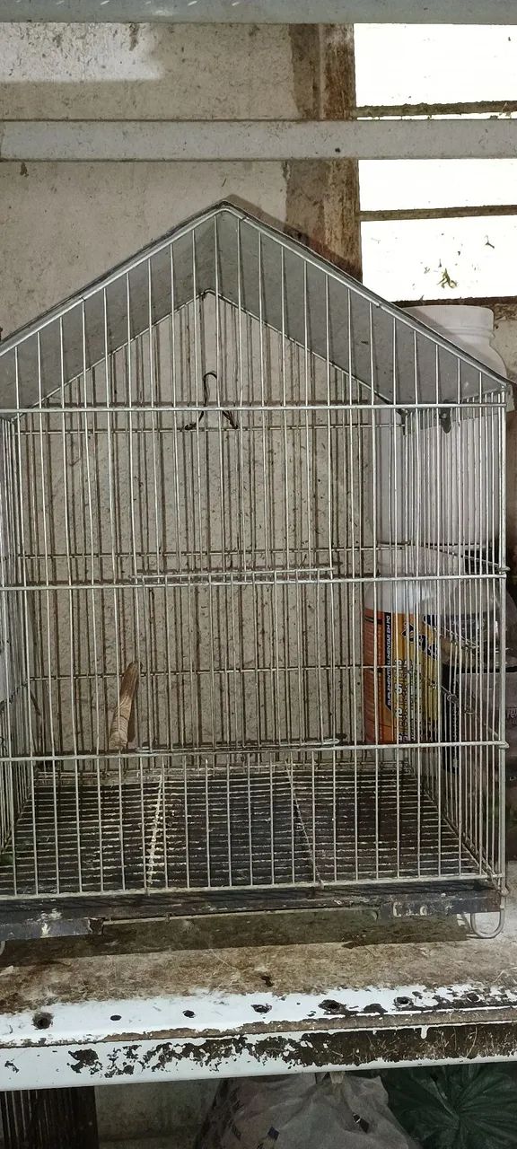 Viveiro pequeno em bom estado 