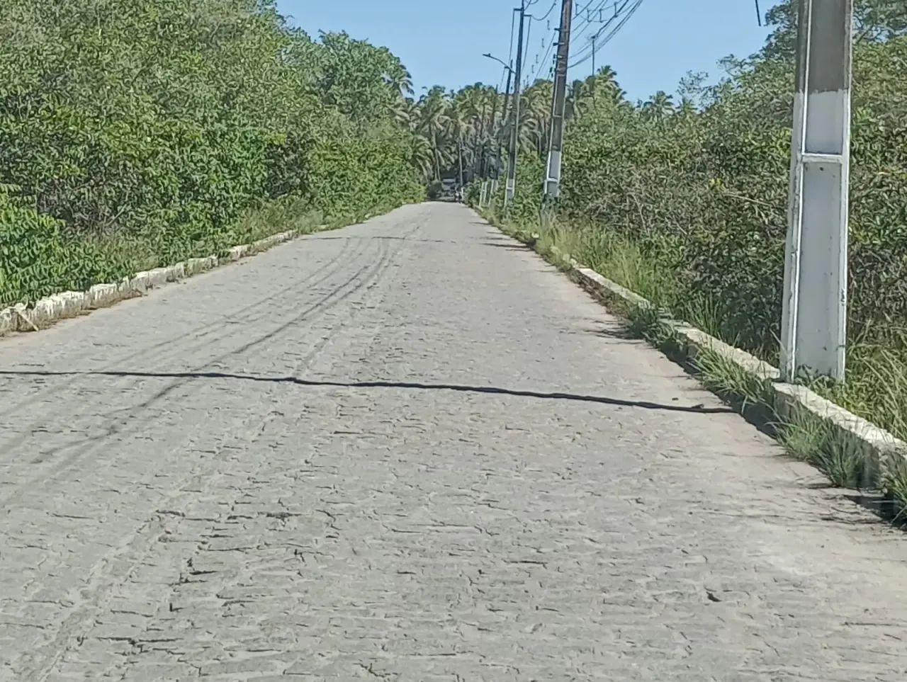 LOTE EM PORTO DE GALINHAS - Foto 3