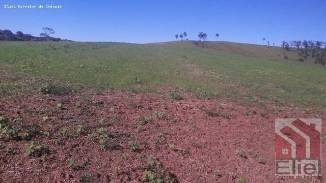 Fazenda para Plantio e Pastagem em Santa Terezinha - Foto 14