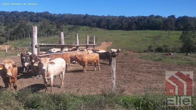 Fazenda para Plantio e Pastagem em Santa Terezinha - Foto 17