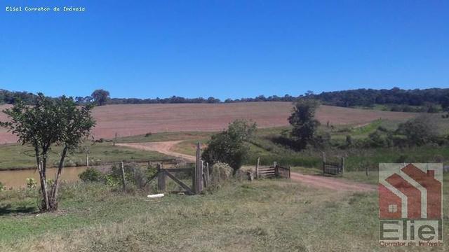 Fazenda para Plantio e Pastagem em Santa Terezinha - Foto 2