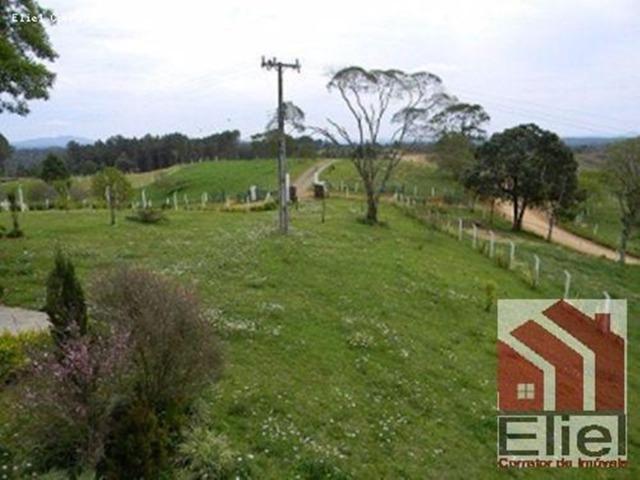 Fazenda Linda, Ideal Até para se Montar um Hotel Fazenda - Foto 20