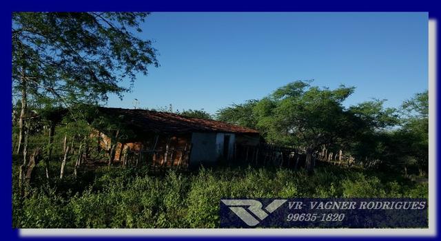 VR-Belíssima Fazenda 130ha com Estrutura, Localização Privilegiada, Valor Super Atrativo - Foto 10