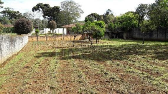TERRENO no bairro São Braz - 19 - Foto 4