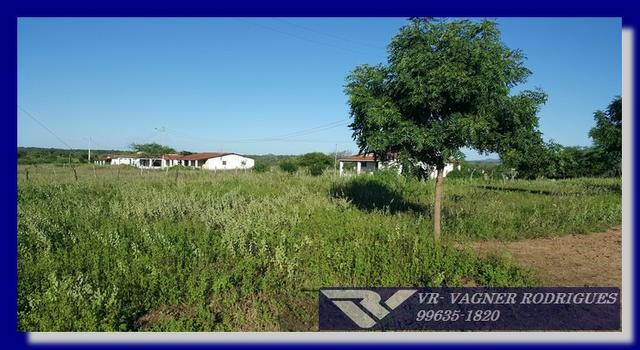 VR-Belíssima Fazenda 130ha com Estrutura, Localização Privilegiada, Valor Super Atrativo - Foto 3