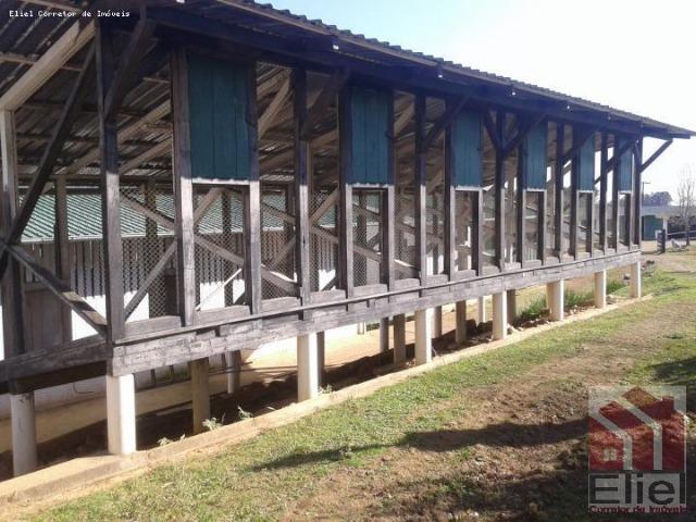 Fazenda Linda, Ideal Até para se Montar um Hotel Fazenda - Foto 16