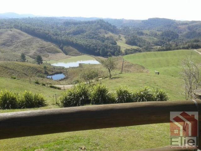 Fazenda Linda, Ideal Até para se Montar um Hotel Fazenda - Foto 15