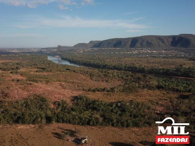 4 km de margens do Rio Araguaia. Fazenda 96 alqueires 464.64 Hectares - Aragarças-GO - Foto 5