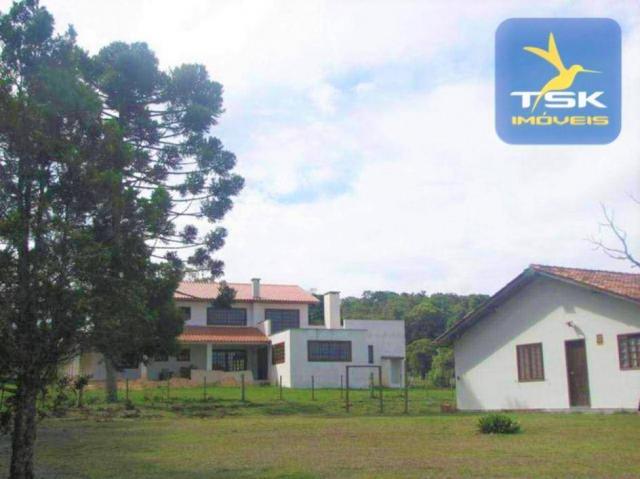 Ch0181 são josé dos pinhais chácara 4 alq. plana 950 m² construído 33 km ctba - Foto 20