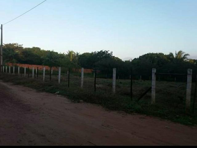 Oportunidade única - Foto 3