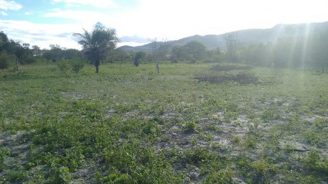 Terreno para Chácara ja cercado - Foto 6