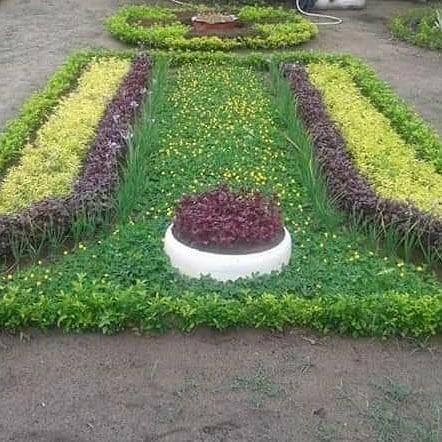 Otimize paisagismo e jardinagem - Foto 3
