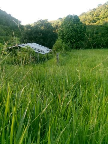 Sitio,granja de 11 hectare - Foto 2