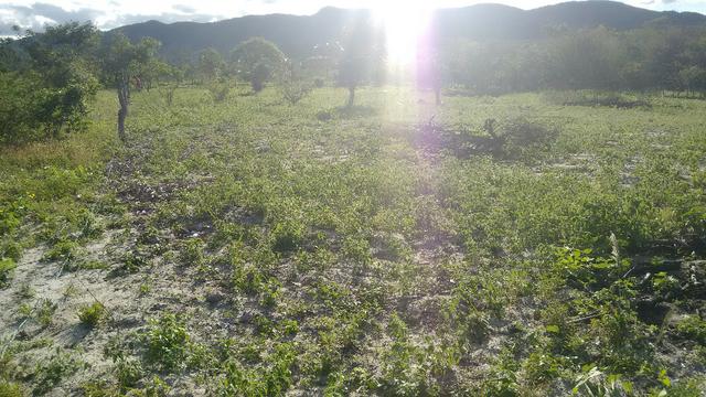 Terreno para Chácara ja cercado - Foto 7