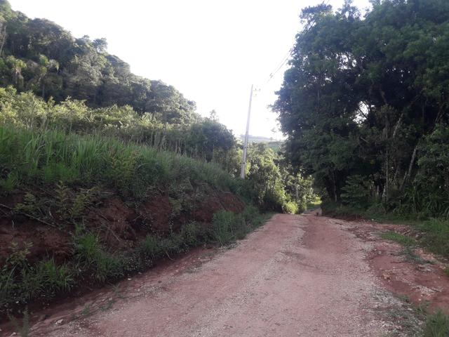 Chácara com 2 alqueires Barra santa rita/Campo magro - Foto 4