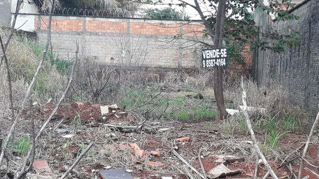 Lote