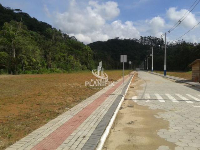TERRENO DIFERENCIADO NO CONDOMÍNIO LUIZA ZIMMERMANN - Foto 13