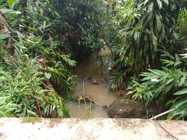 Chácara com 5 alqueires, rio, tanque de peixes pelo valor de 295 mil em Morretes - Foto 7