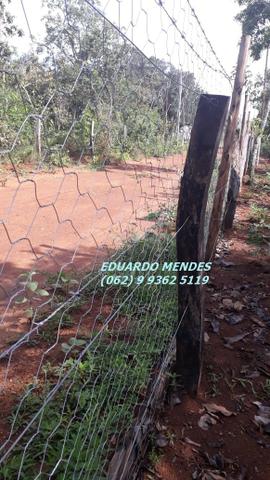 Chácara de 2.000 m2, região do trevo Zé Rosário - Foto 11