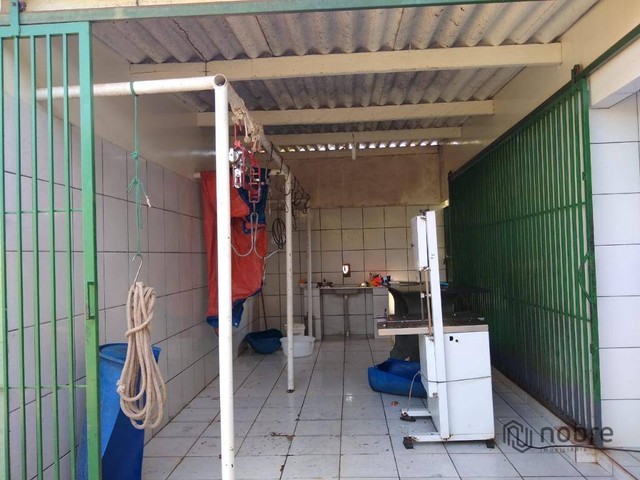 Galpão à venda, 700 m² por R$ 800.000,00 - Zona Rural - Santa Rosa do Tocantins/TO - Foto 5