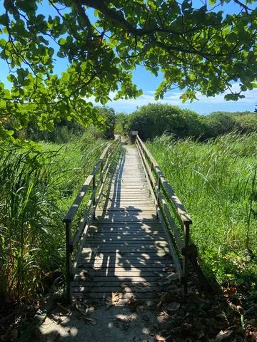 Apartamento em frente da praia do Campeche - Foto 5